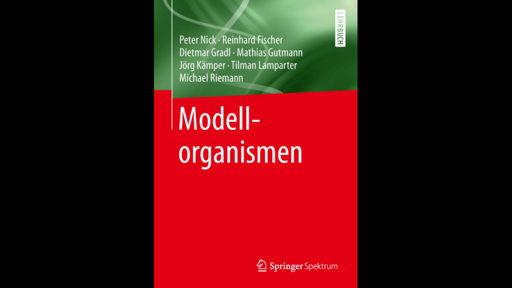 Gutmann Modellorganismen